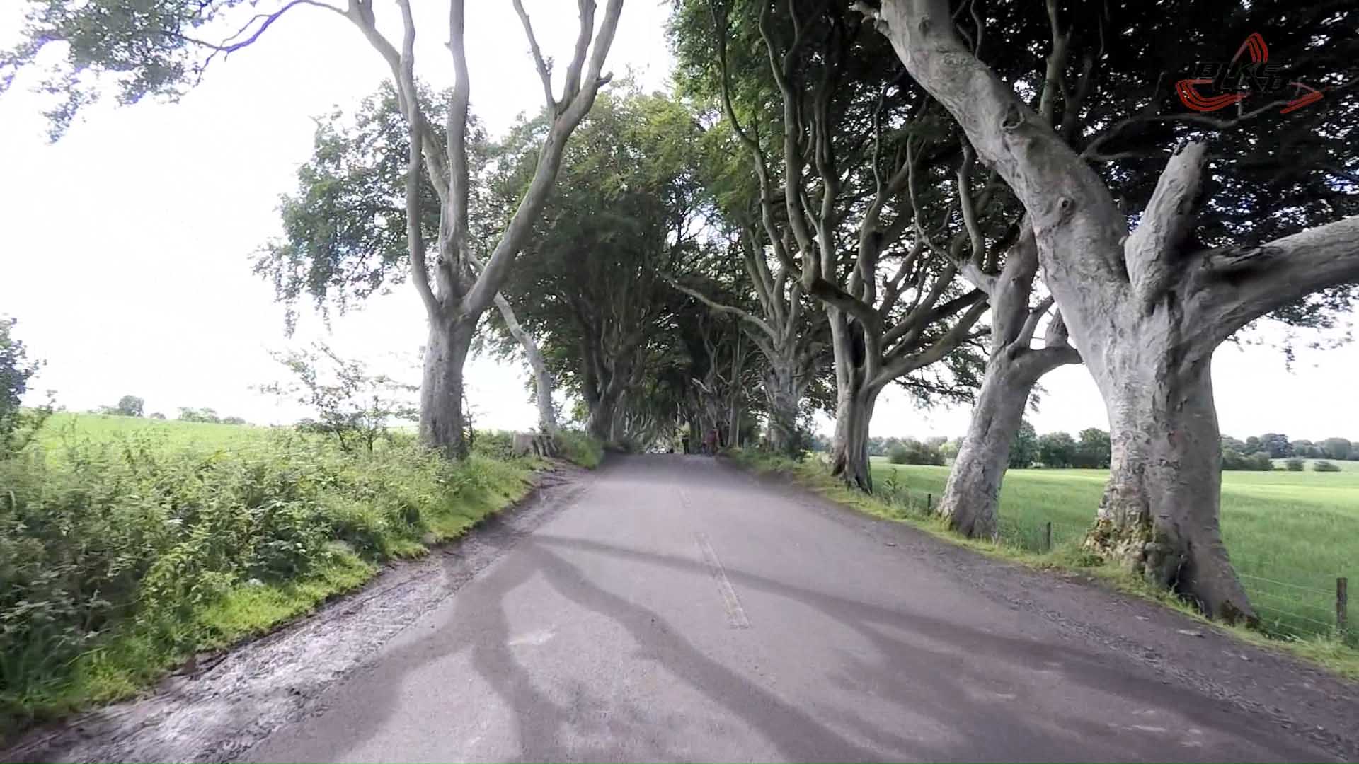 1920x1080 Dark Hedges01