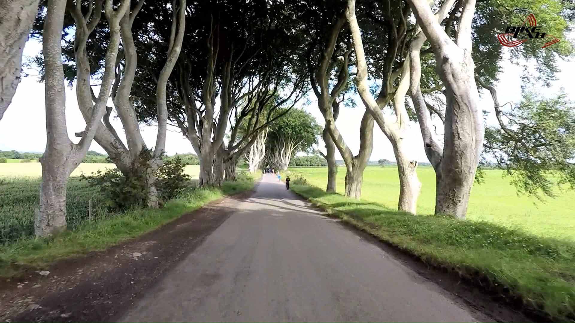 1920x1080 Dark Hedges01